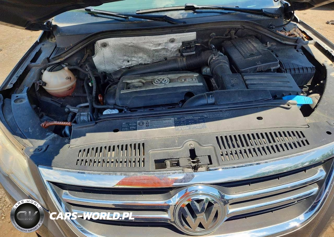 2011 Volkswagen Tiguan S VIN:WVGBV7AX3BW516184 - 11