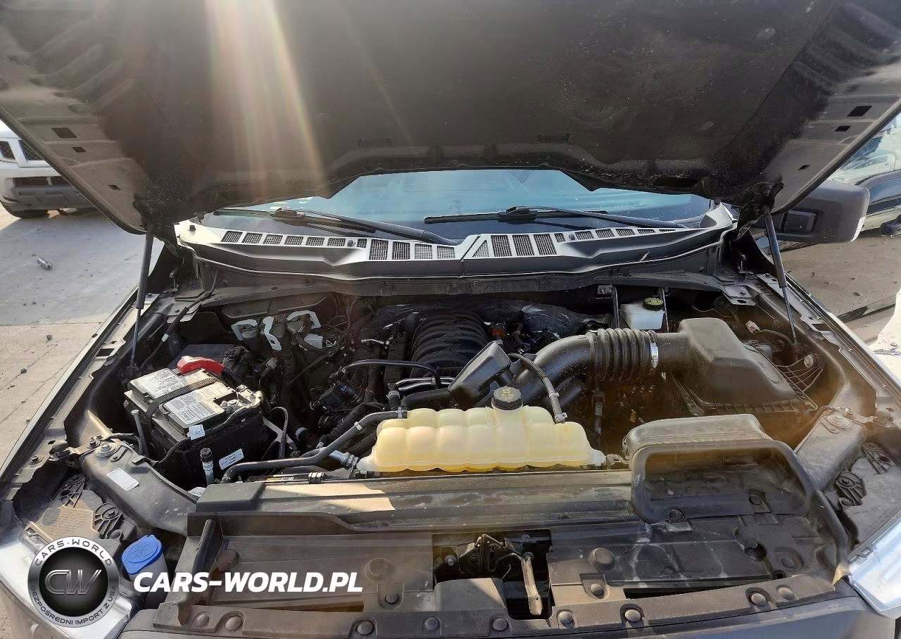2023 Ford F150 Supercrew VIN:1FTEW1C59PFC28006 - 11