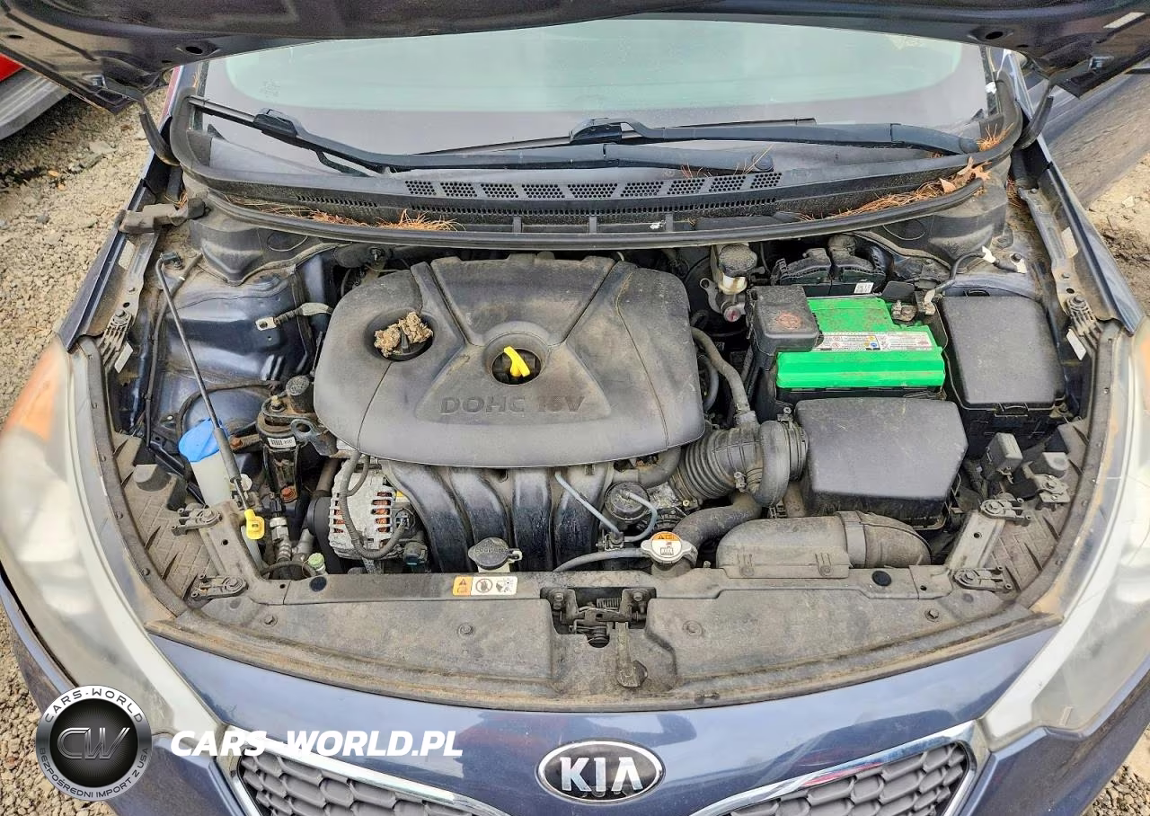2016 Kia Forte Lx VIN:KNAFK4A61G5440558 - 11