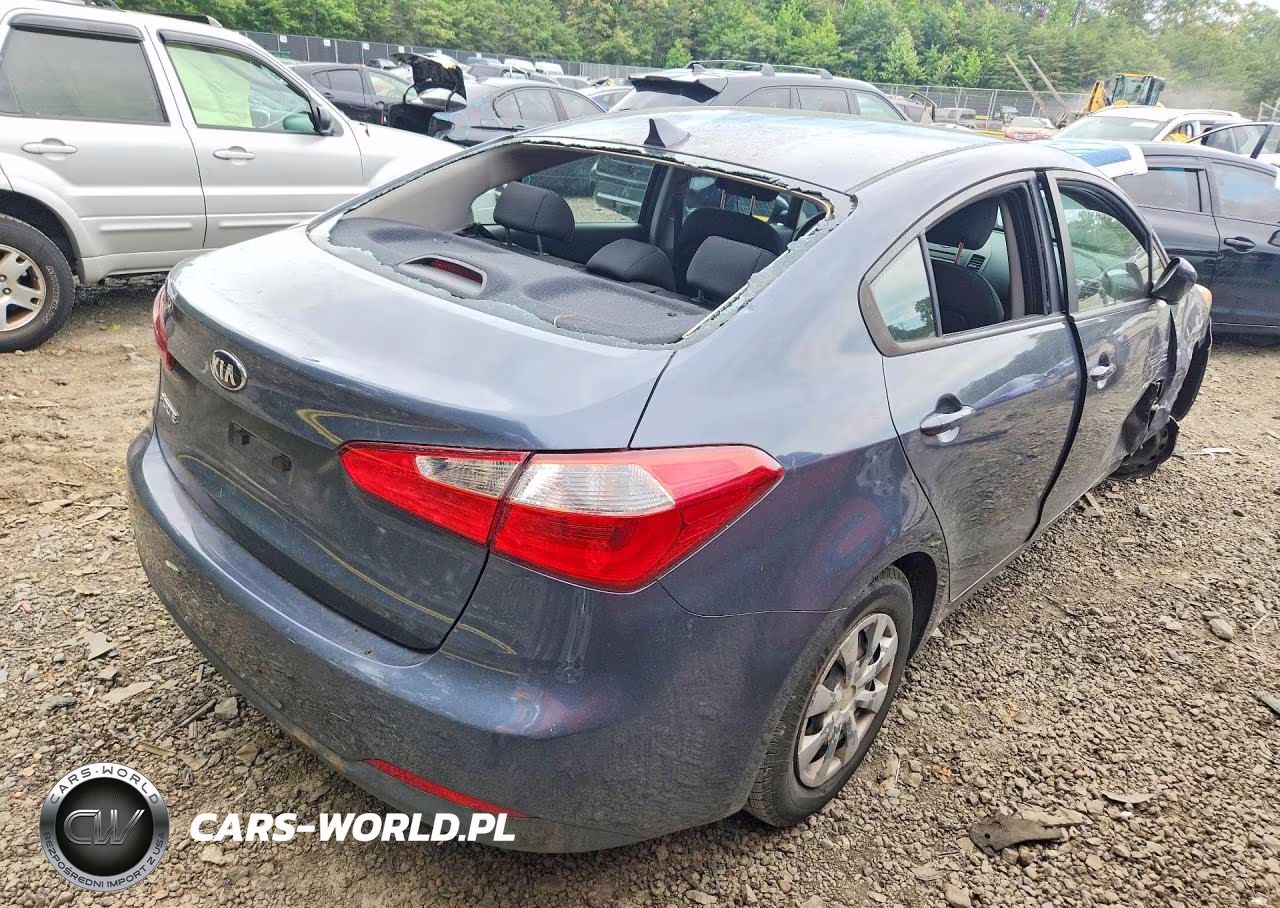 2016 Kia Forte Lx VIN:KNAFK4A61G5440558 - 3