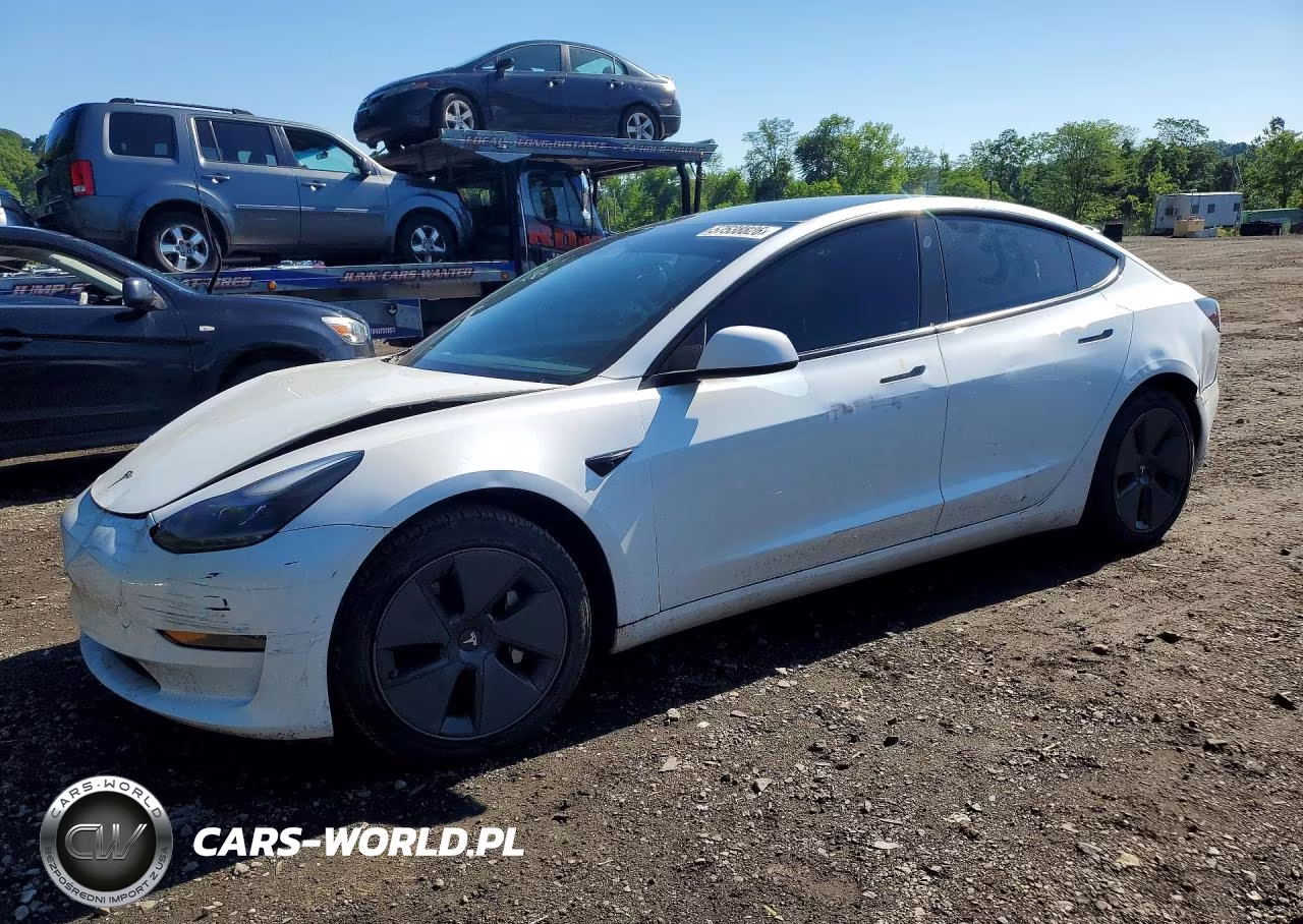 2023 Tesla Model 3 VIN:5YJ3E1EA1PF591389 - 1