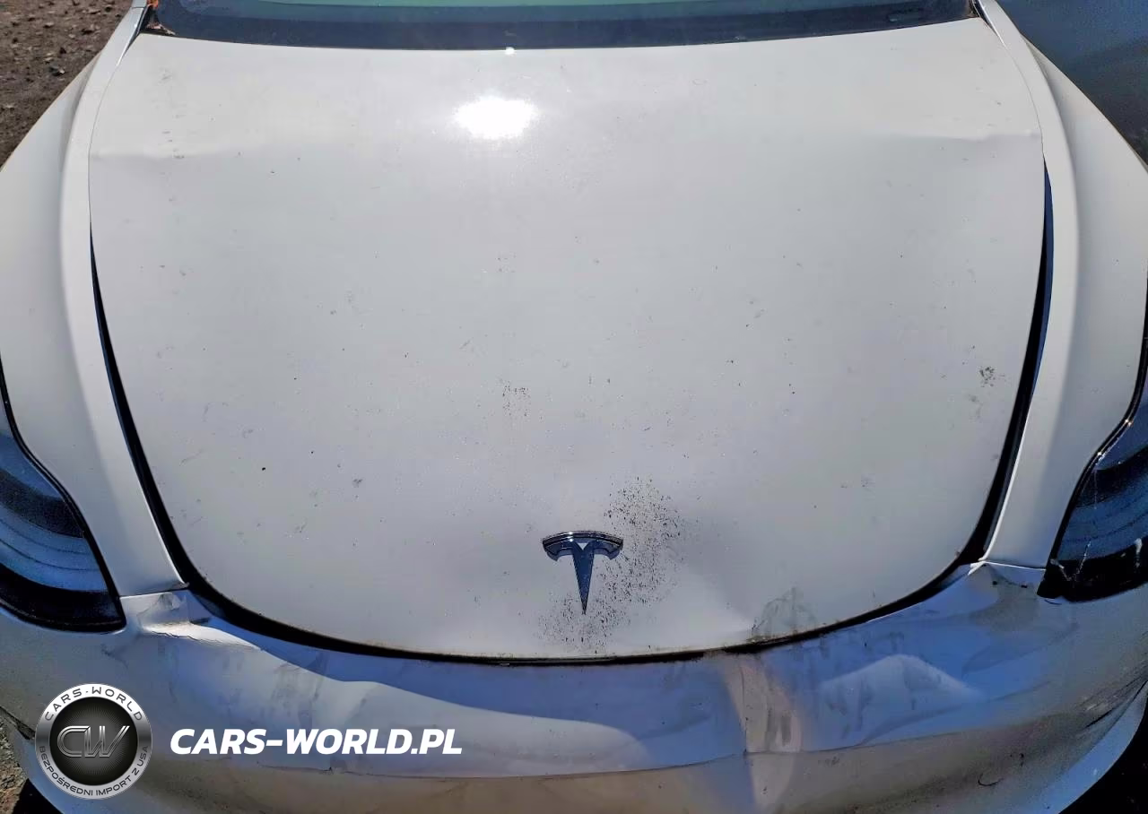 2023 Tesla Model 3 VIN:5YJ3E1EA1PF591389 - 11