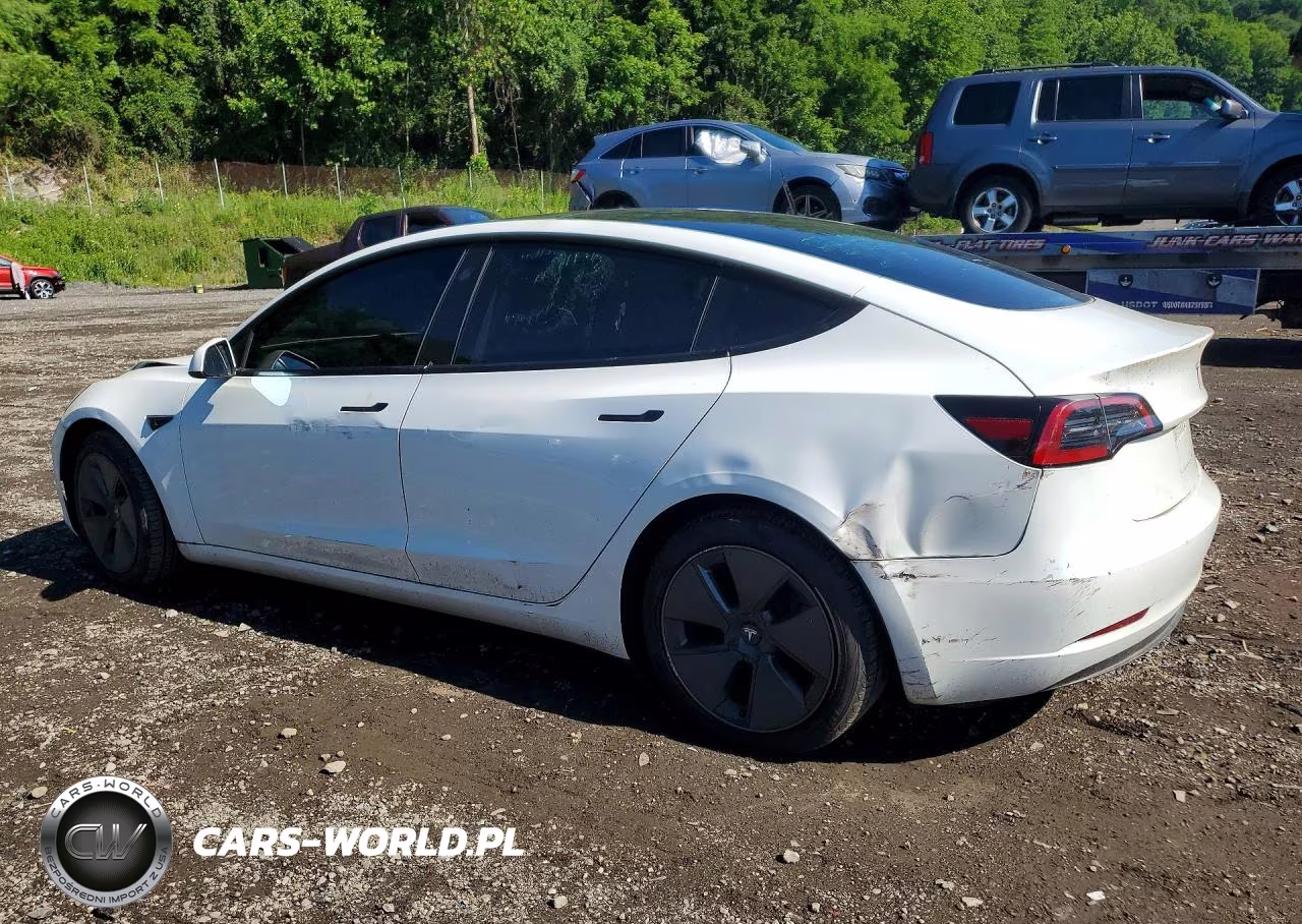 2023 Tesla Model 3 VIN:5YJ3E1EA1PF591389 - 2