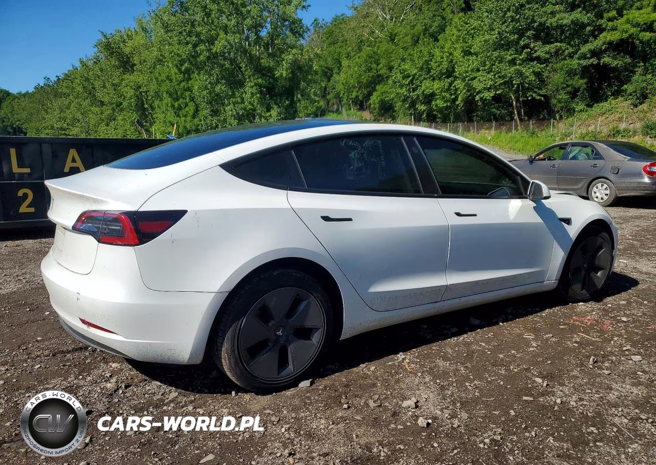 2023 Tesla Model 3 VIN:5YJ3E1EA1PF591389 - 3