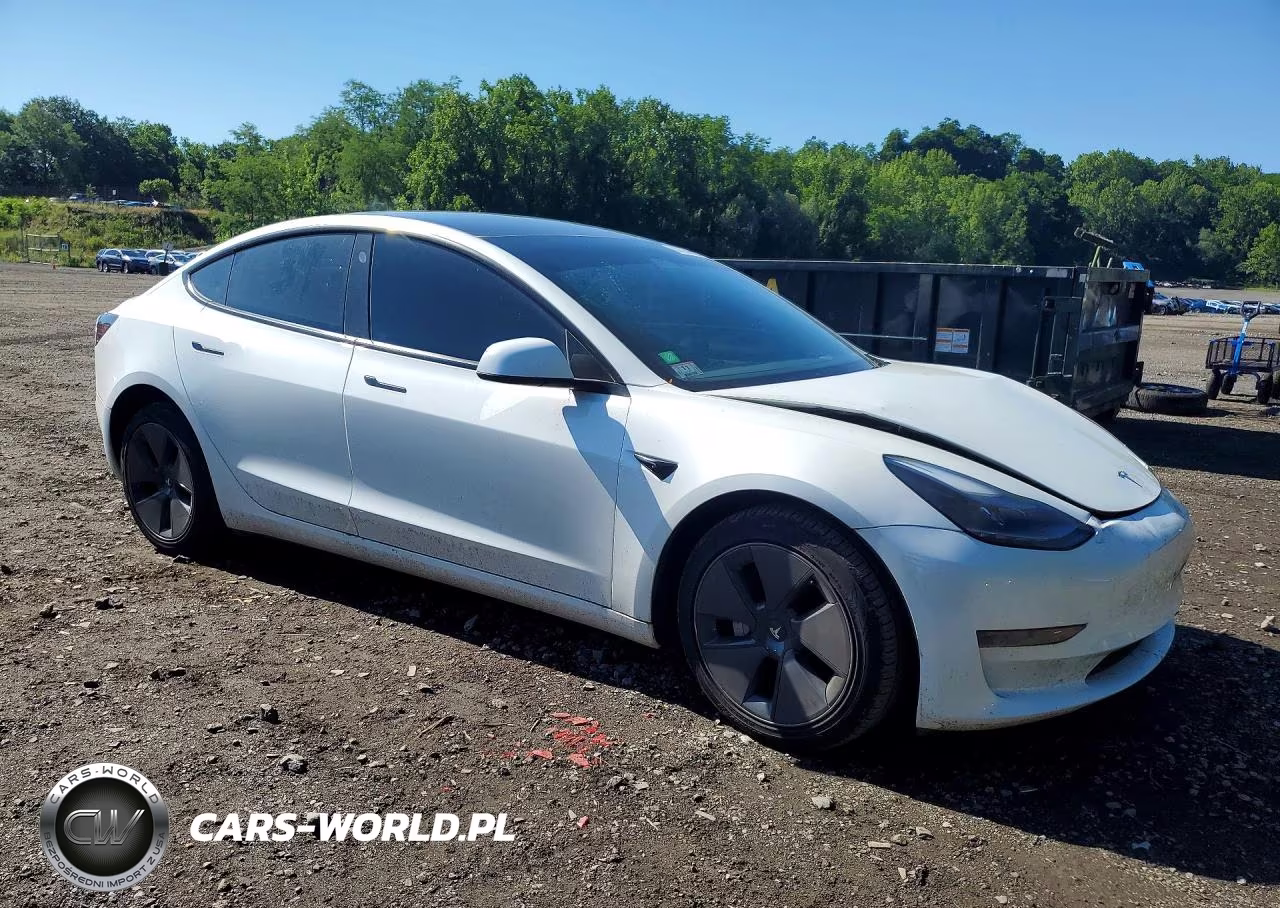 2023 Tesla Model 3 VIN:5YJ3E1EA1PF591389 - 4