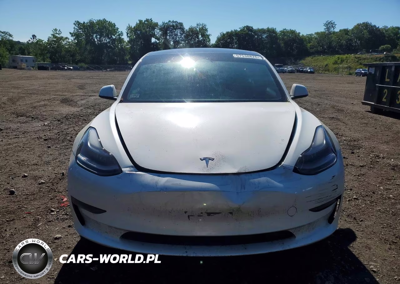 2023 Tesla Model 3 VIN:5YJ3E1EA1PF591389 - 5