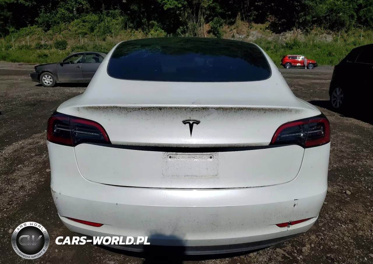 2023 Tesla Model 3 VIN:5YJ3E1EA1PF591389 - 6
