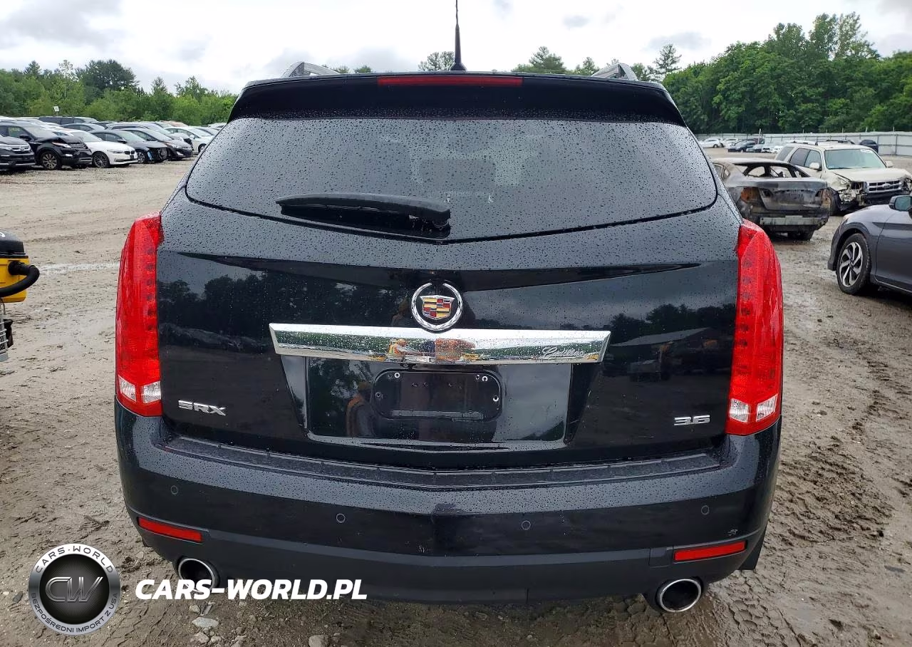 2013 Cadillac Srx Luxury Collection VIN:3GYFNCE30DS628374 - 6