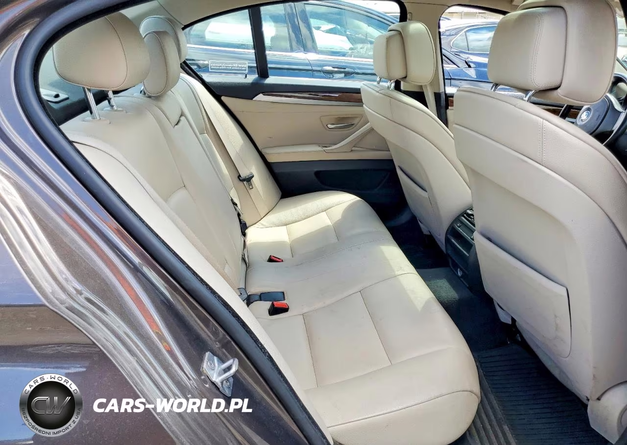 2013 BMW 528 Xi VIN:WBAXH5C52DD113889 - 10