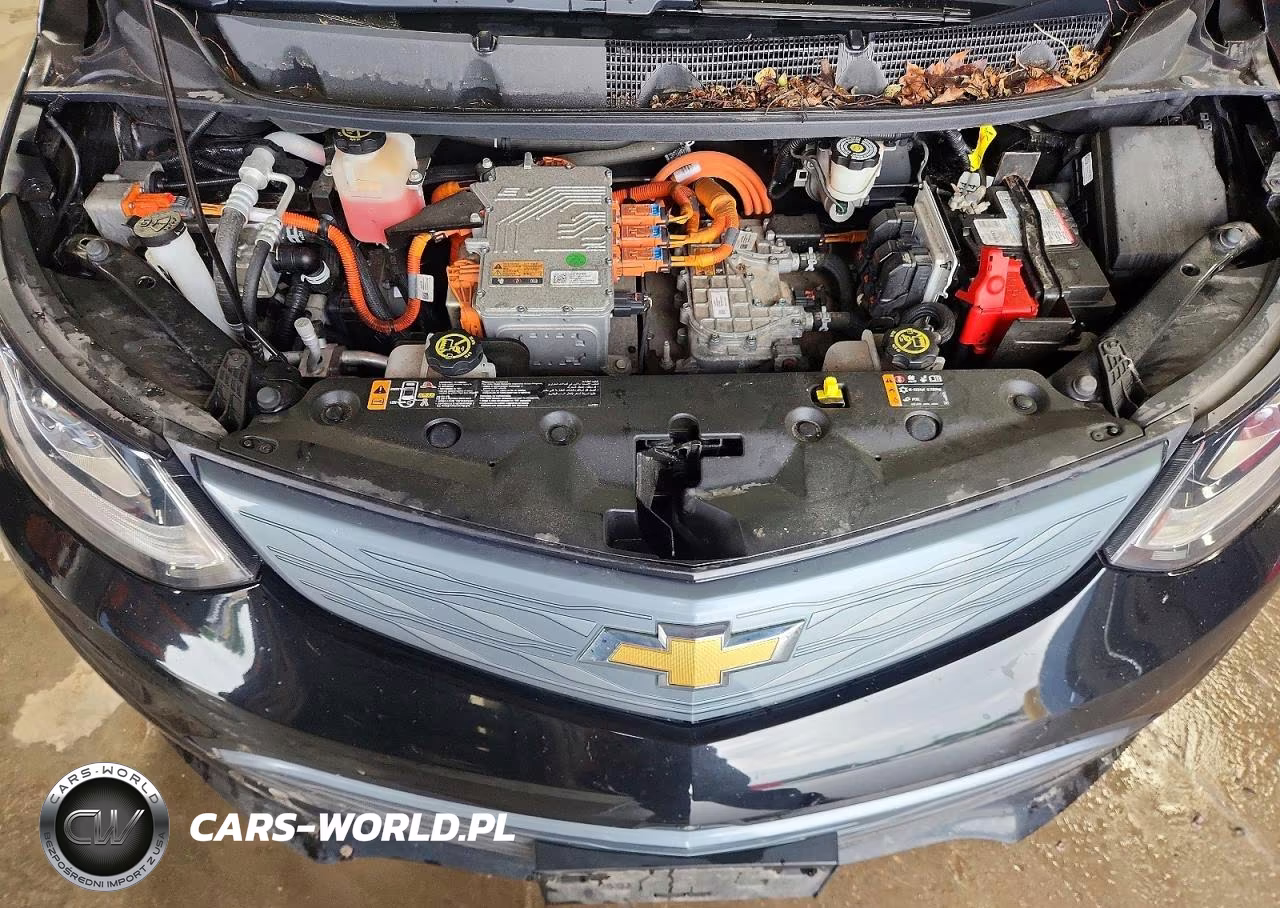 2019 Chevrolet Bolt Ev Premier VIN:1G1FX6S0XK4108782 - 11