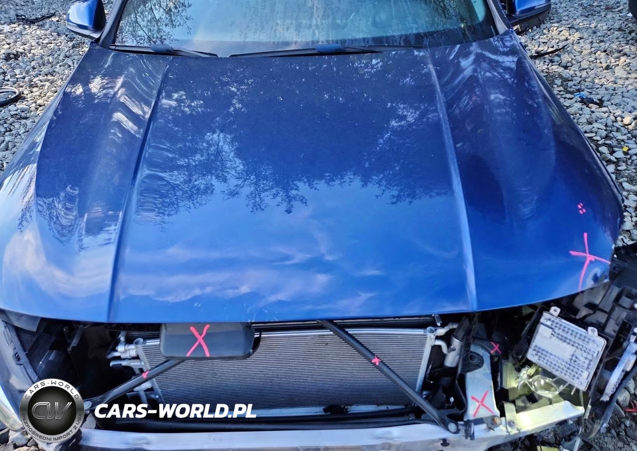 2022 BMW 228Xi VIN:WBA73AK06N7J89970 - 11