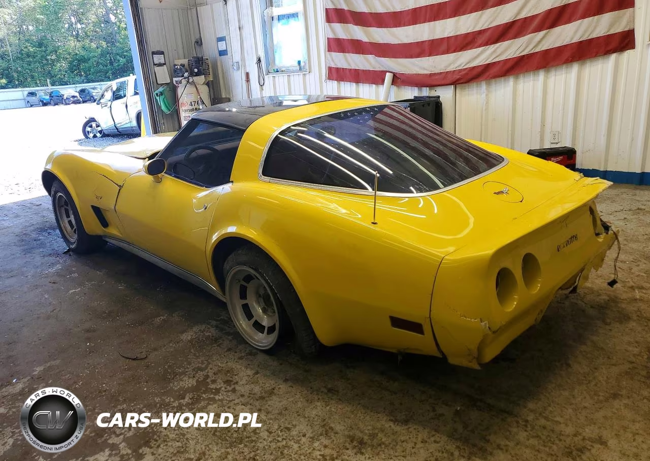 1979 Chevrolet Corvette VIN:1Z8789S403228 - 2