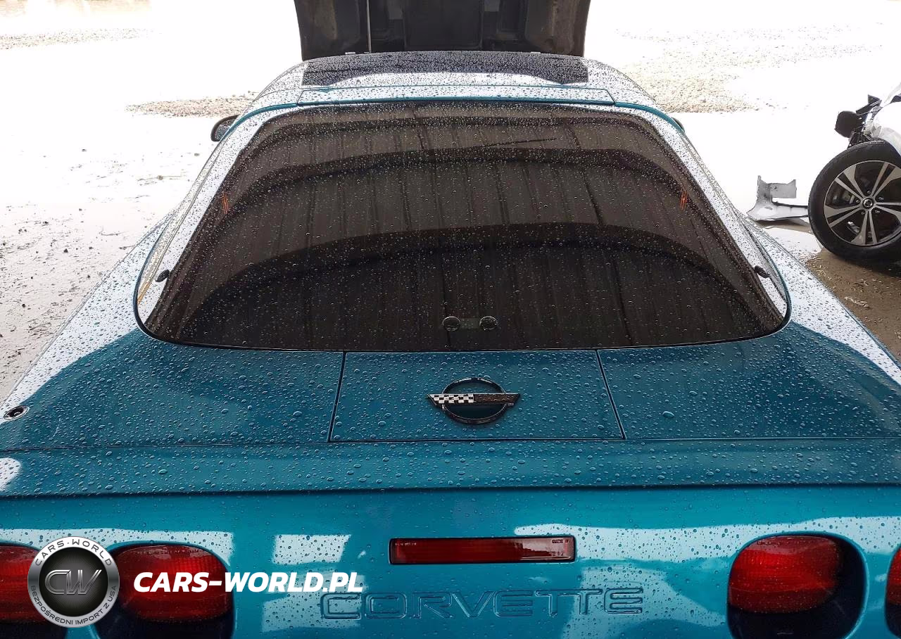 1993 Chevrolet Corvette VIN:1G1YY23P3P5119506 - 10