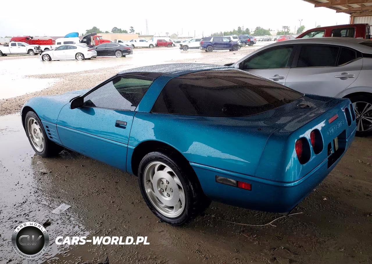 1993 Chevrolet Corvette VIN:1G1YY23P3P5119506 - 2