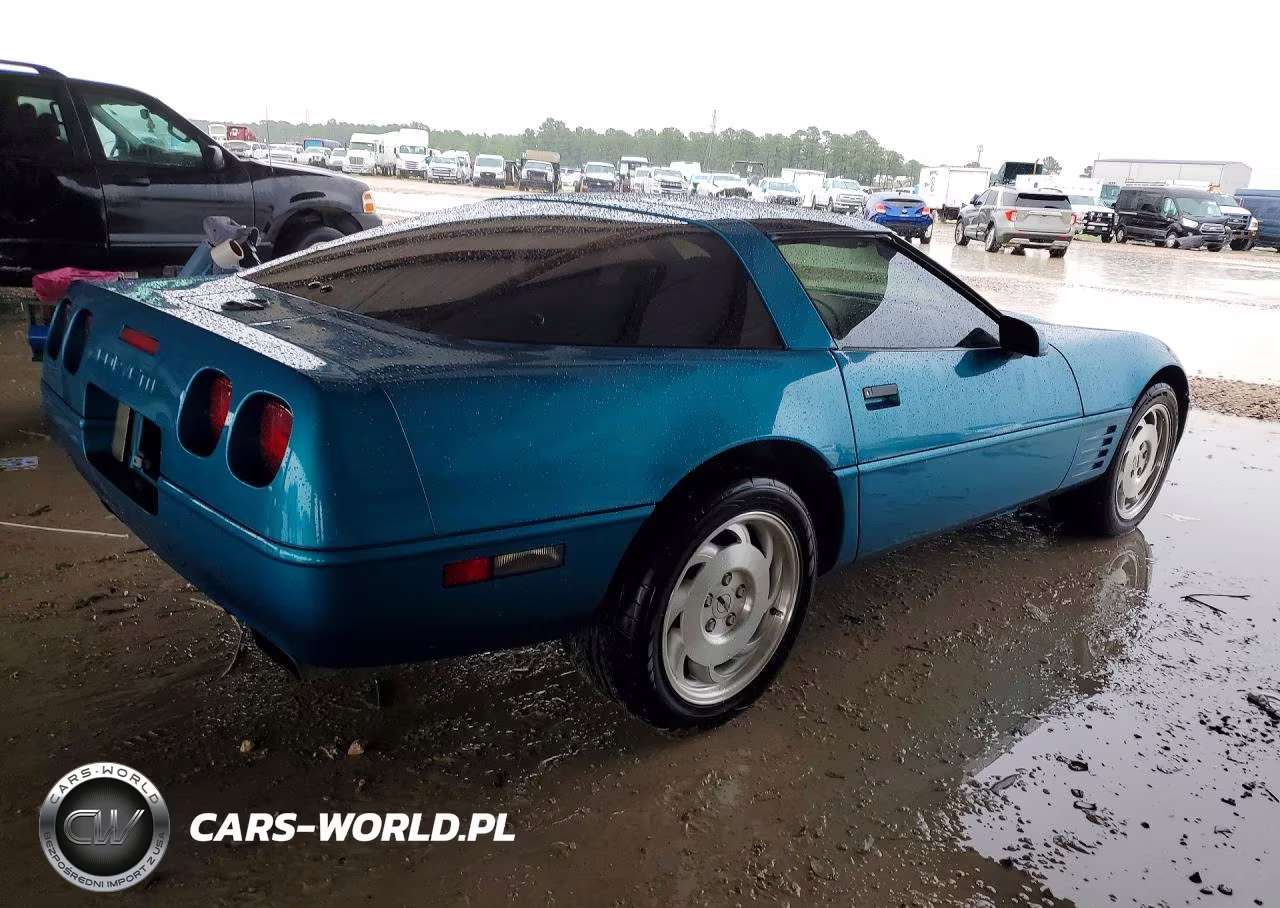 1993 Chevrolet Corvette VIN:1G1YY23P3P5119506 - 3