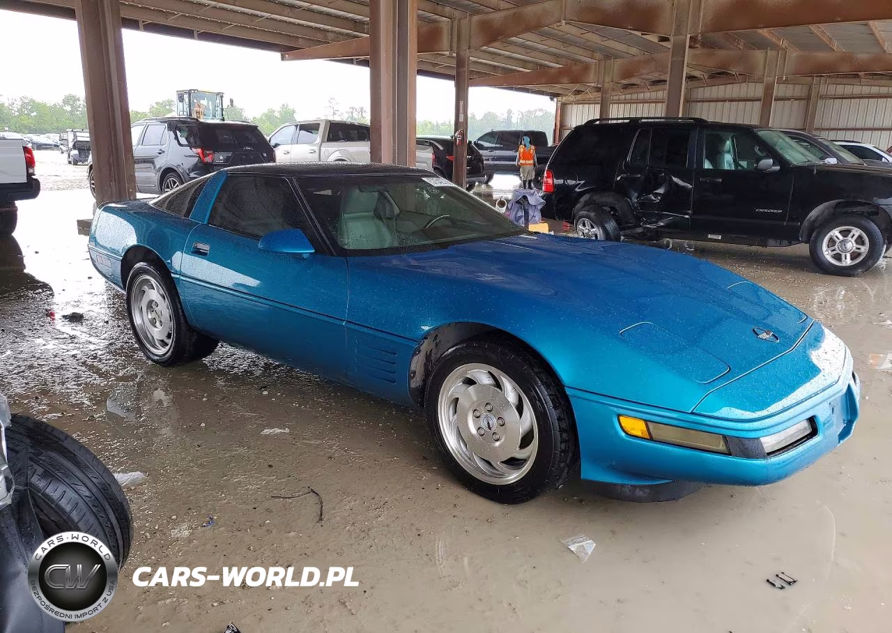 1993 Chevrolet Corvette VIN:1G1YY23P3P5119506 - 4
