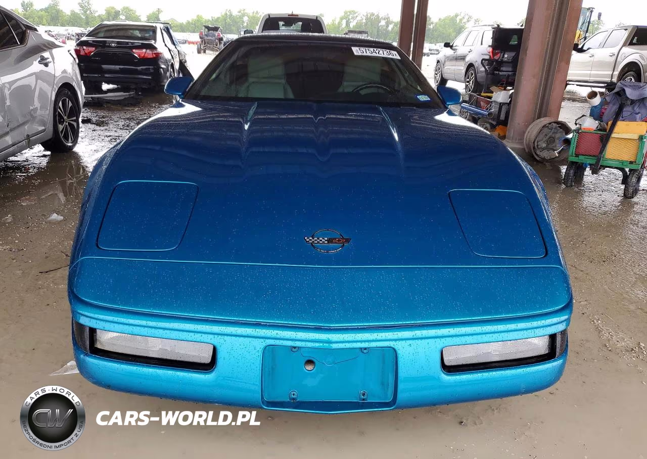 1993 Chevrolet Corvette VIN:1G1YY23P3P5119506 - 5