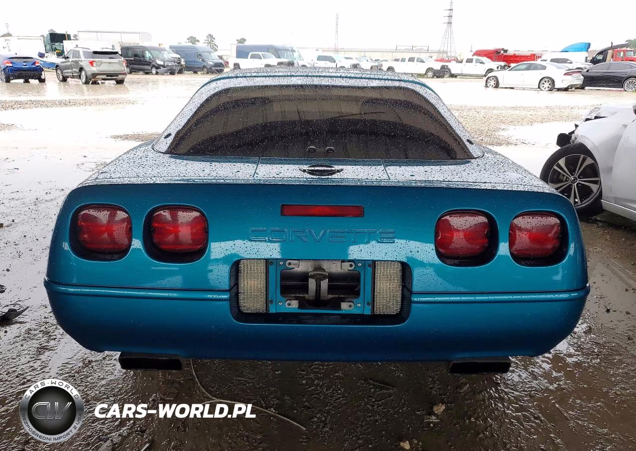 1993 Chevrolet Corvette VIN:1G1YY23P3P5119506 - 6