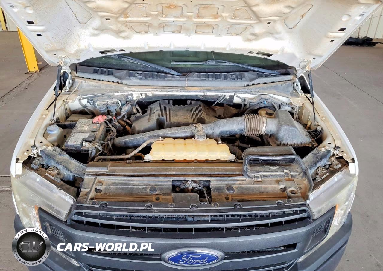 2019 Ford F150 Police Responder VIN:1FTEW1P46KKC25243 - 11