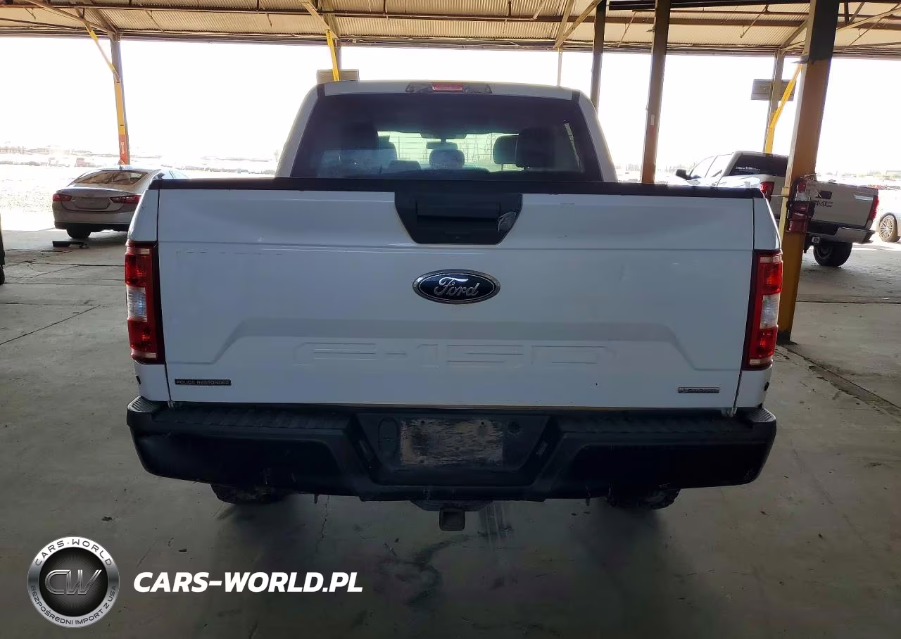 2019 Ford F150 Police Responder VIN:1FTEW1P46KKC25243 - 6