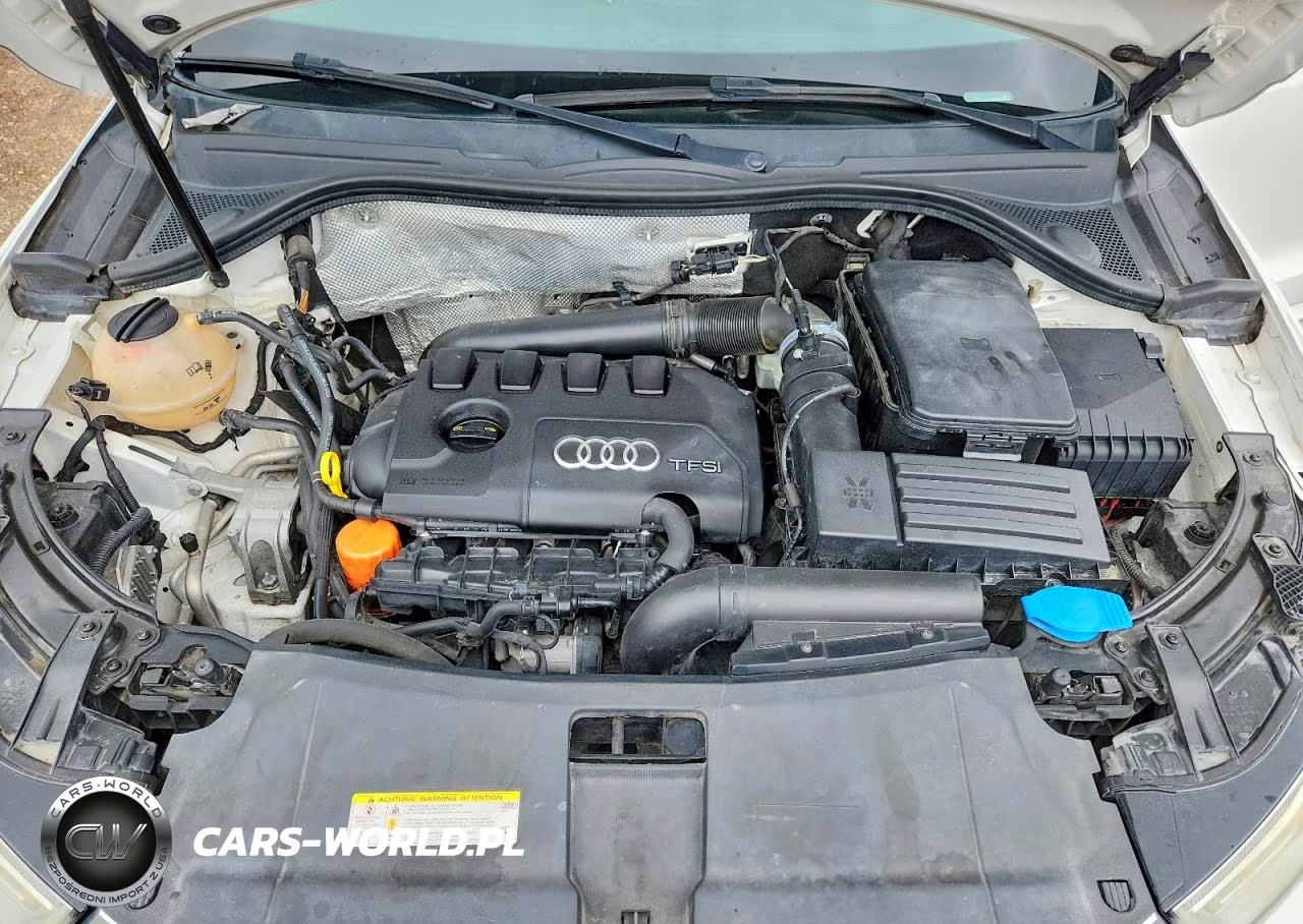 2016 Audi Q3 Premium Plus VIN:WA1BFCFS5GR006989 - 12