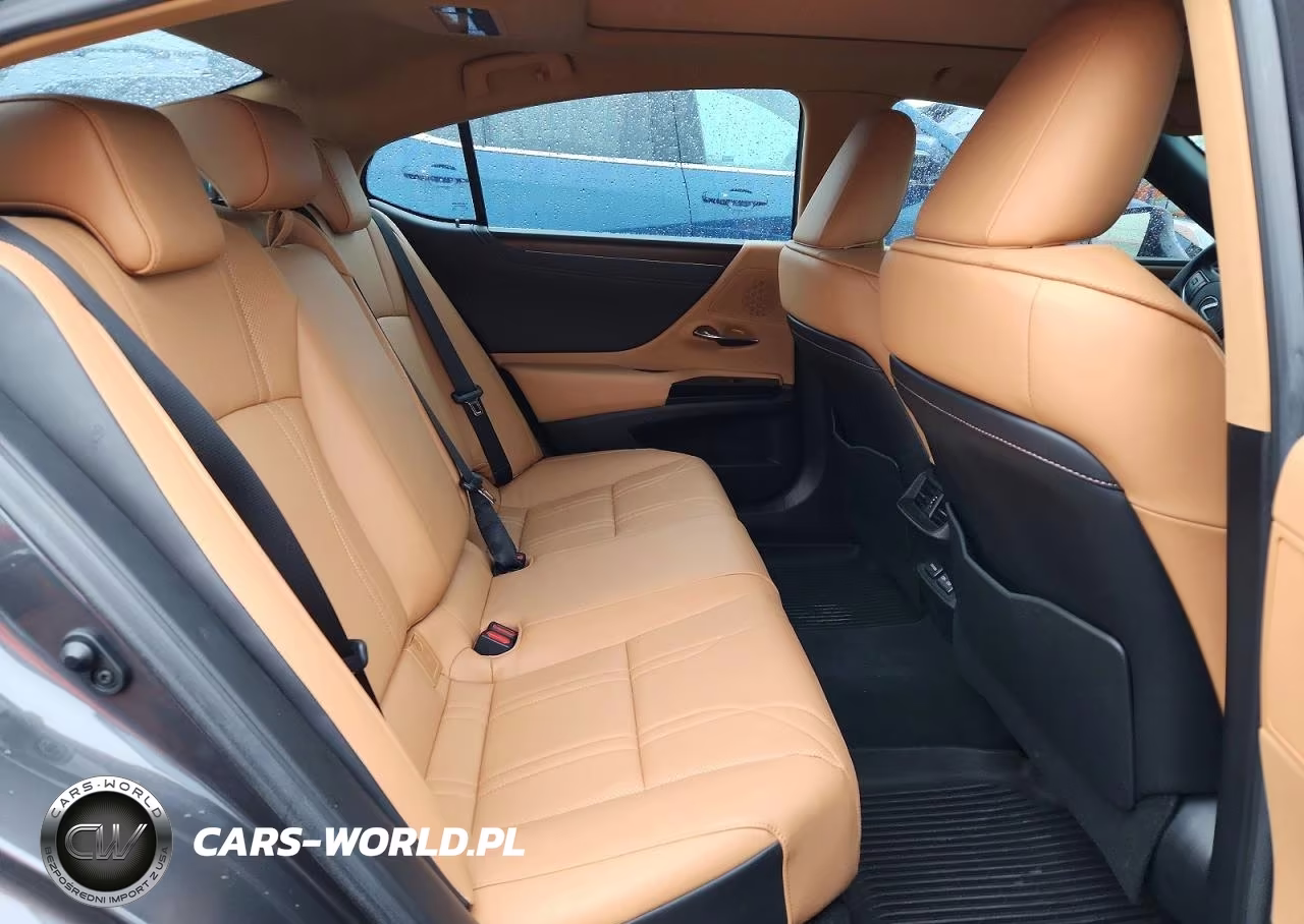 2023 Lexus Es 350 Luxury VIN:58AEZ1B17PU148290 - 10