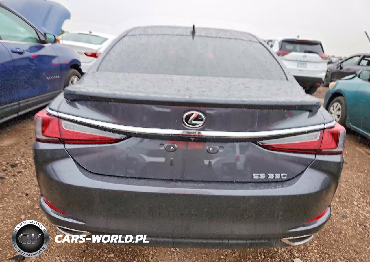 2023 Lexus Es 350 Luxury VIN:58AEZ1B17PU148290 - 6