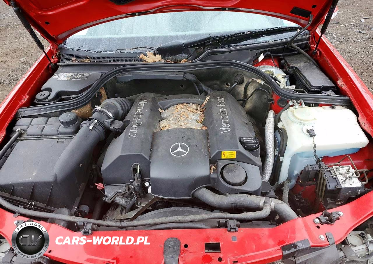 2001 Mercedes-Benz Clk 320 VIN:WDBLK65G61T074893 - 11