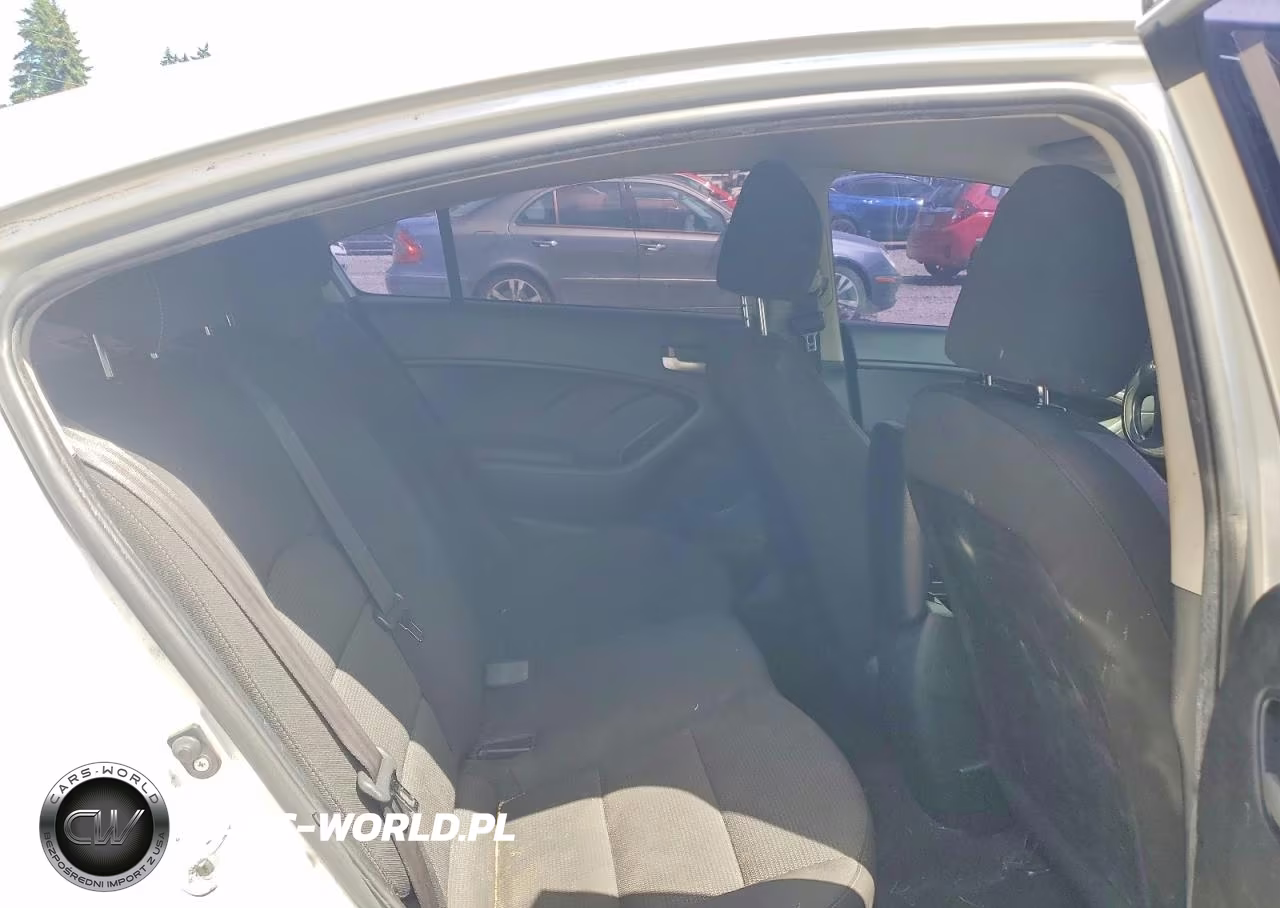 2017 Kia Forte Lx VIN:3KPFK4A72HE139511 - 10