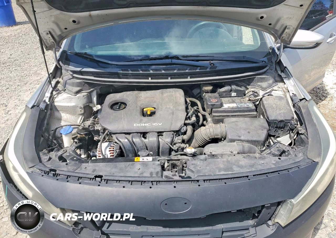 2017 Kia Forte Lx VIN:3KPFK4A72HE139511 - 11