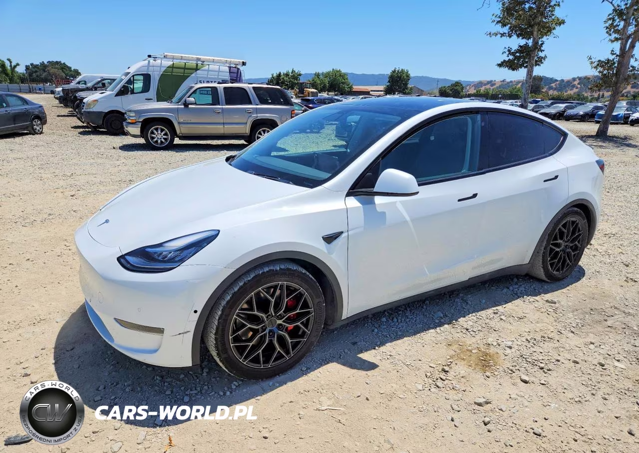 2020 Tesla Model Y
