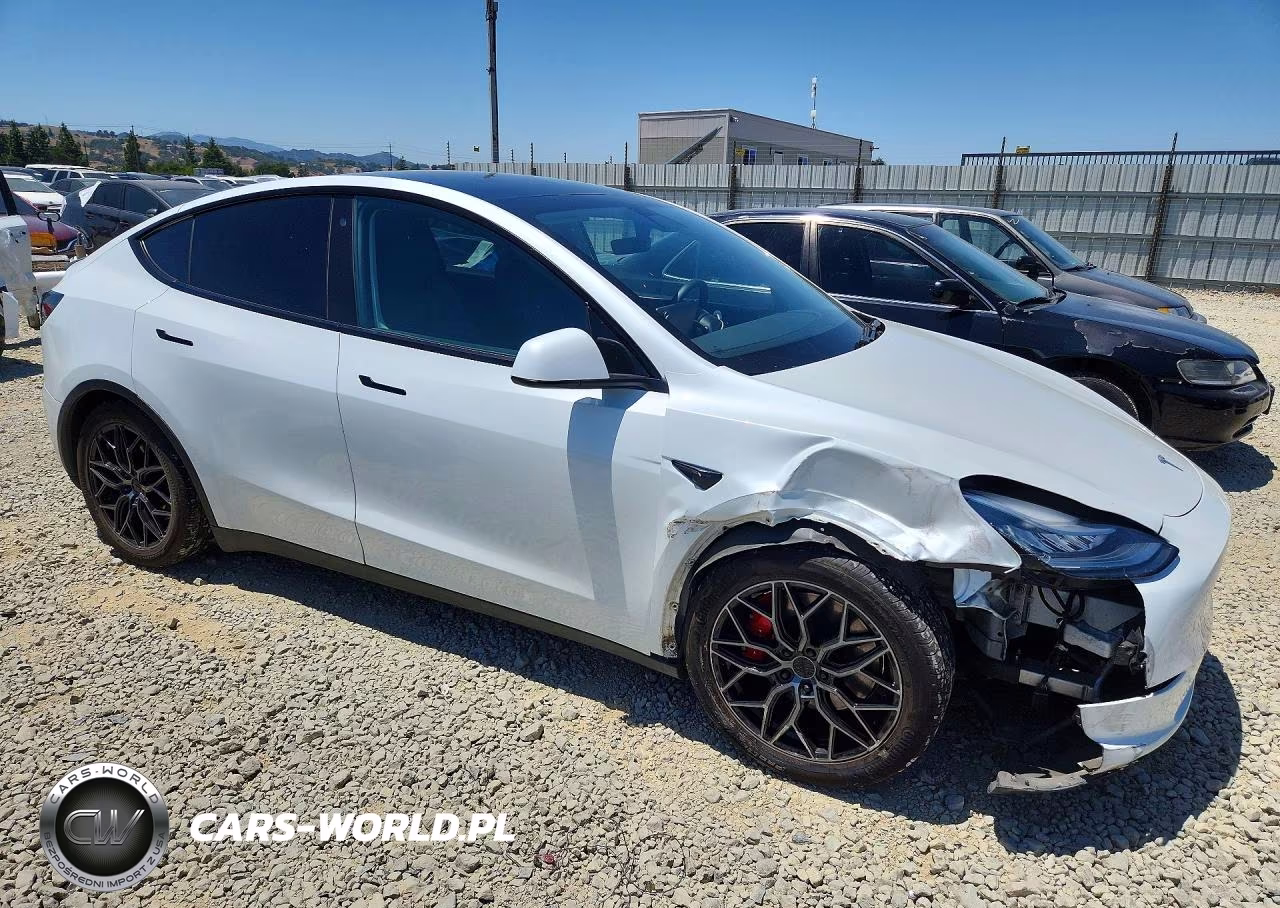 2020 Tesla Model Y VIN:5YJYGDEF7LF003387 - 4