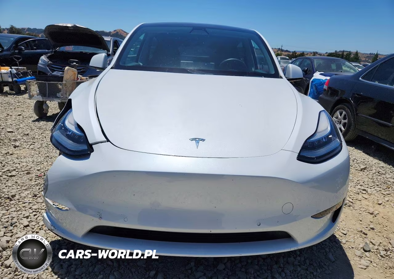 2020 Tesla Model Y VIN:5YJYGDEF7LF003387 - 5