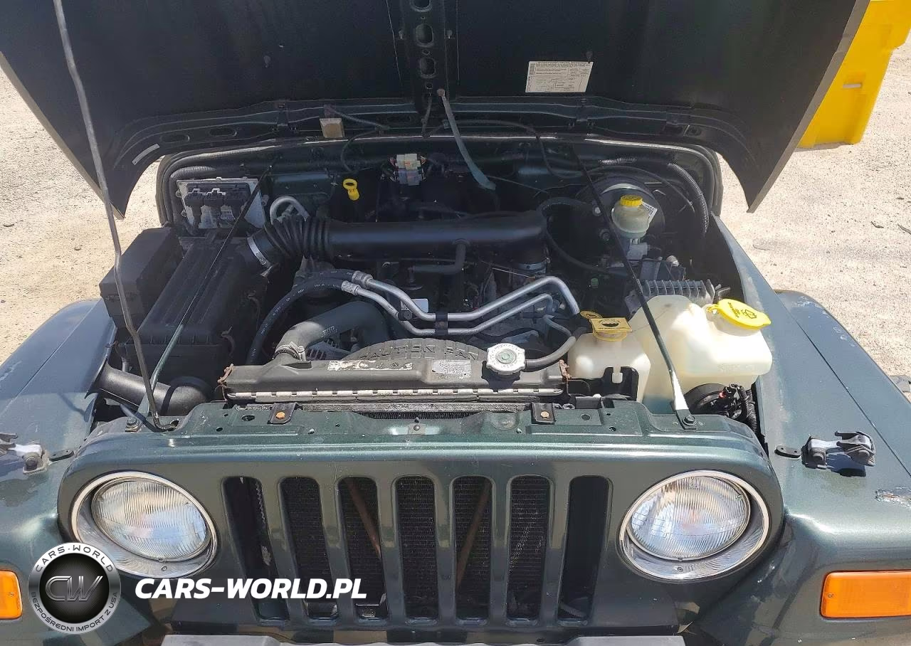 2004 Jeep Wrangler - Tj Sahara VIN:1J4FA59S64P768436 - 11