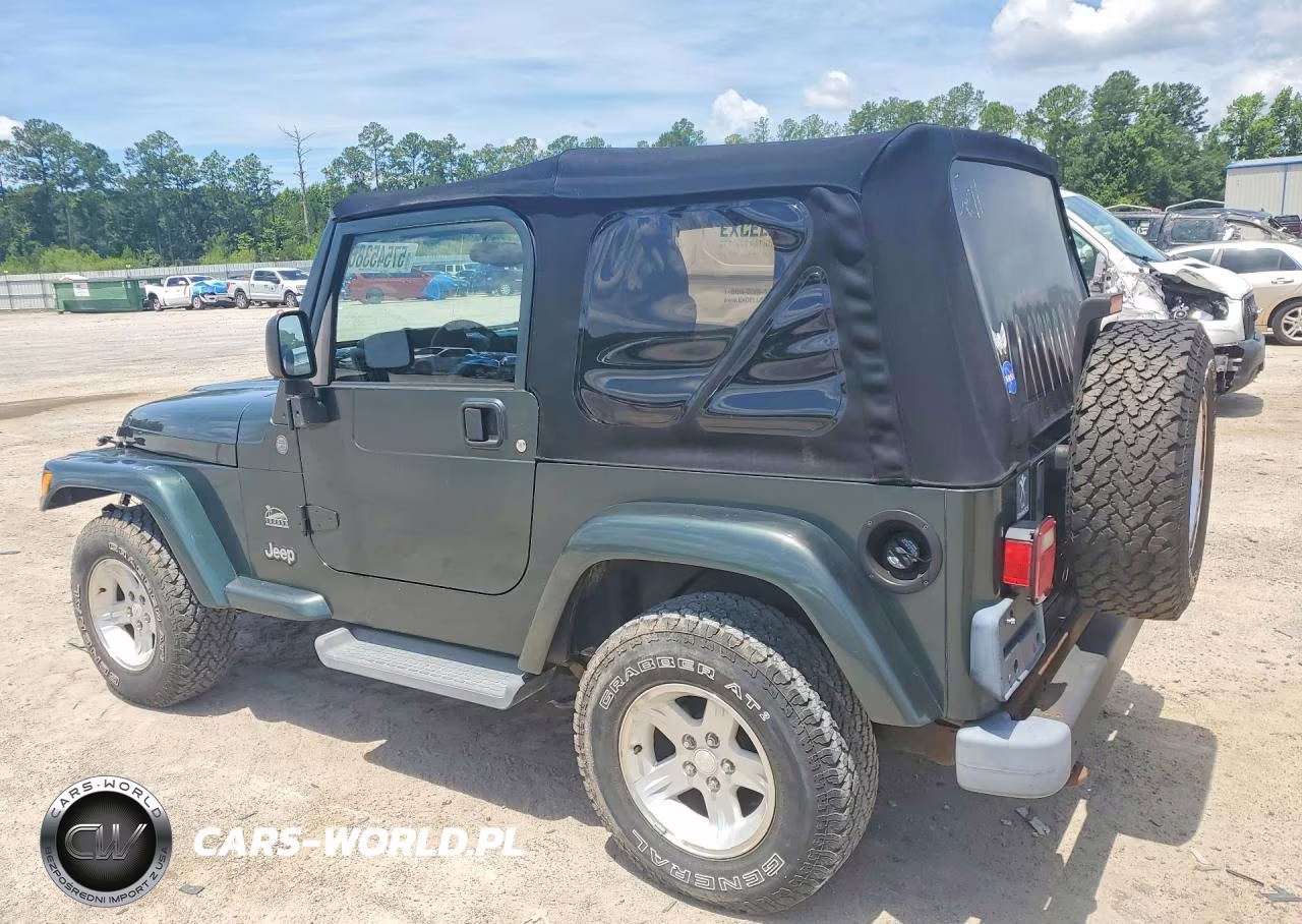 2004 Jeep Wrangler - Tj Sahara VIN:1J4FA59S64P768436 - 2
