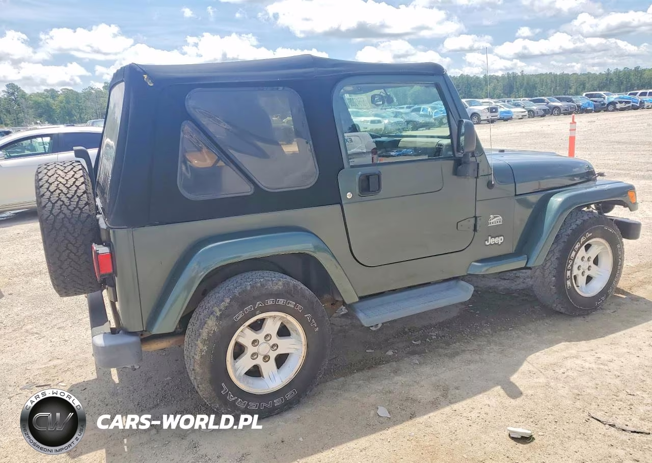 2004 Jeep Wrangler - Tj Sahara VIN:1J4FA59S64P768436 - 3