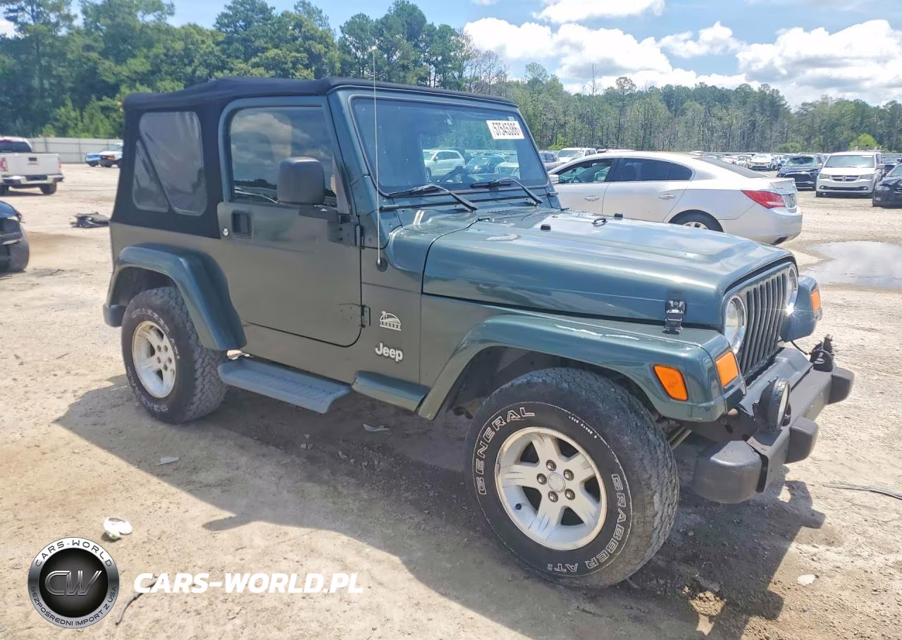 2004 Jeep Wrangler - Tj Sahara VIN:1J4FA59S64P768436 - 4