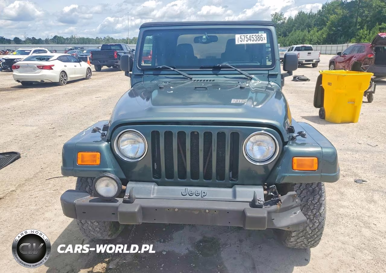 2004 Jeep Wrangler - Tj Sahara VIN:1J4FA59S64P768436 - 5
