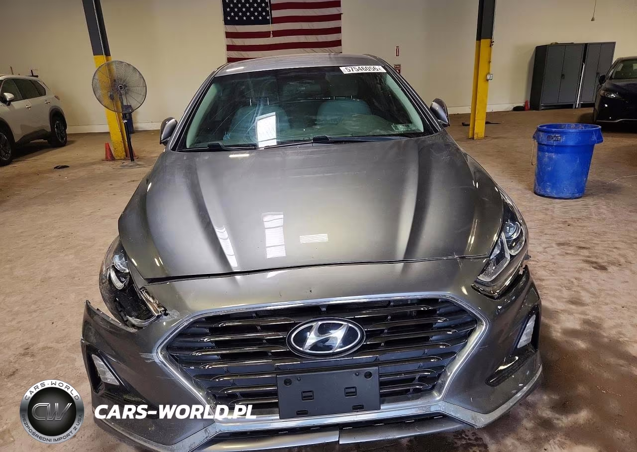 2019 Hyundai Sonata Se VIN:5NPE24AF5KH794574 - 5