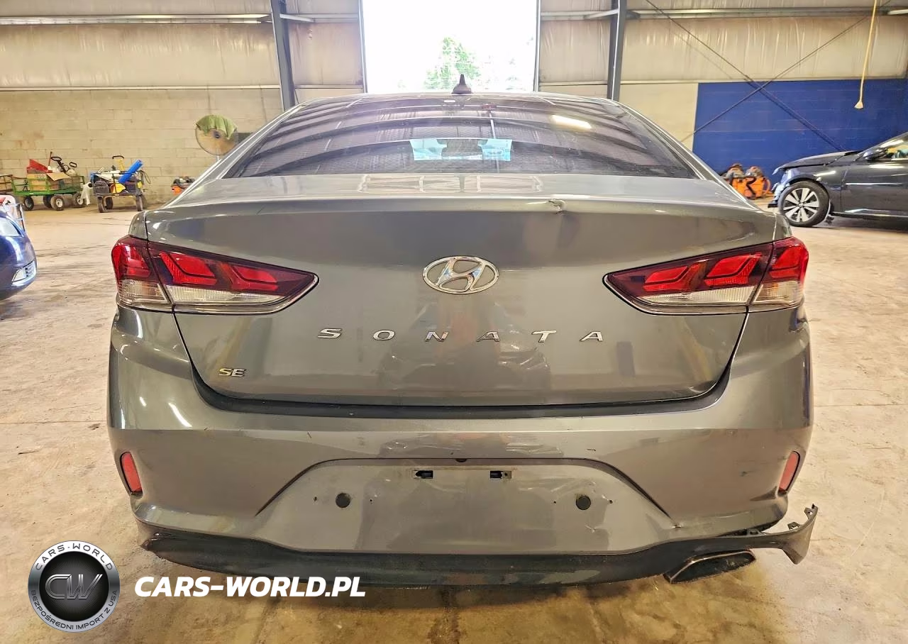 2019 Hyundai Sonata Se VIN:5NPE24AF5KH794574 - 6