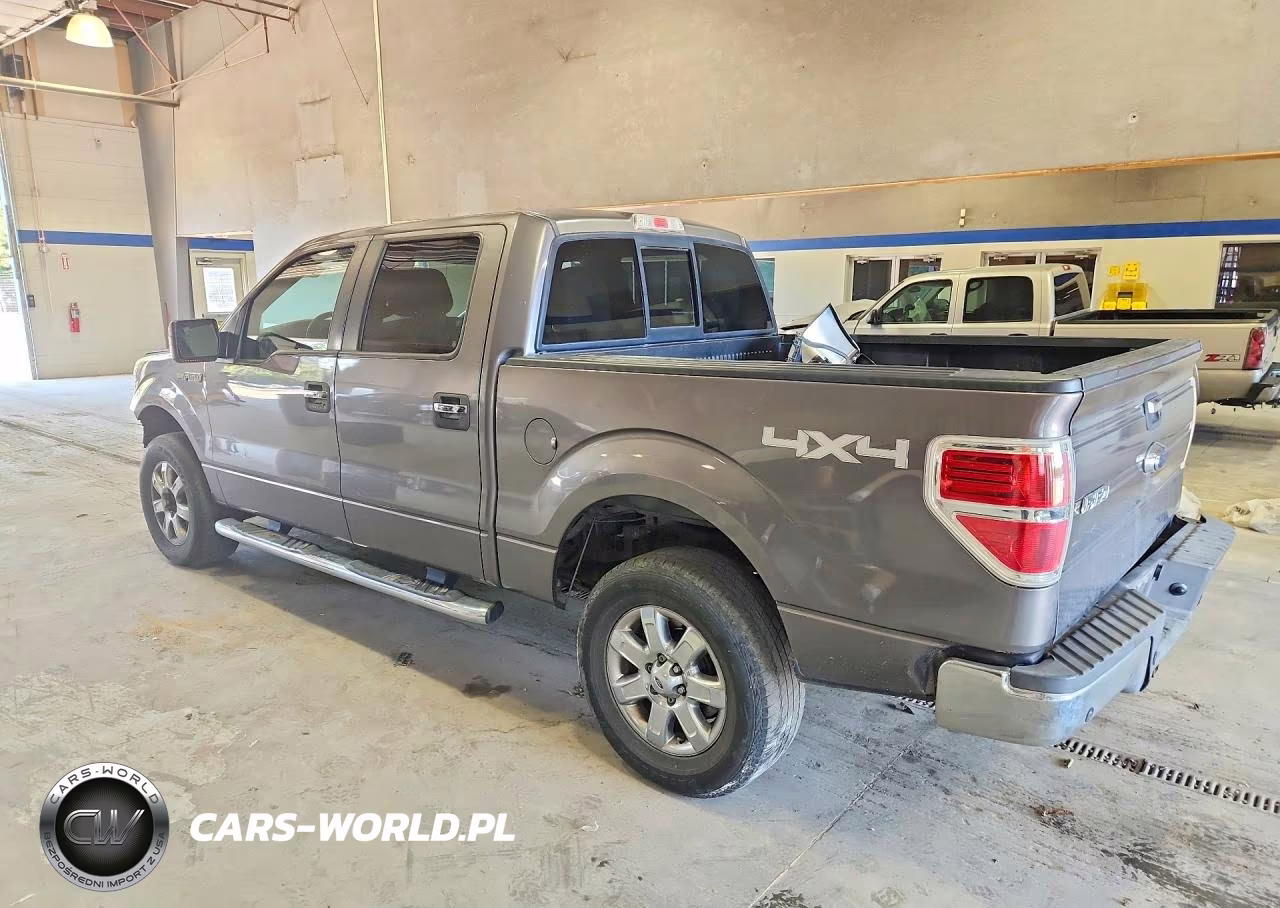 2013 Ford F150 VIN:1FTFW1EF1DFB72679 - 2