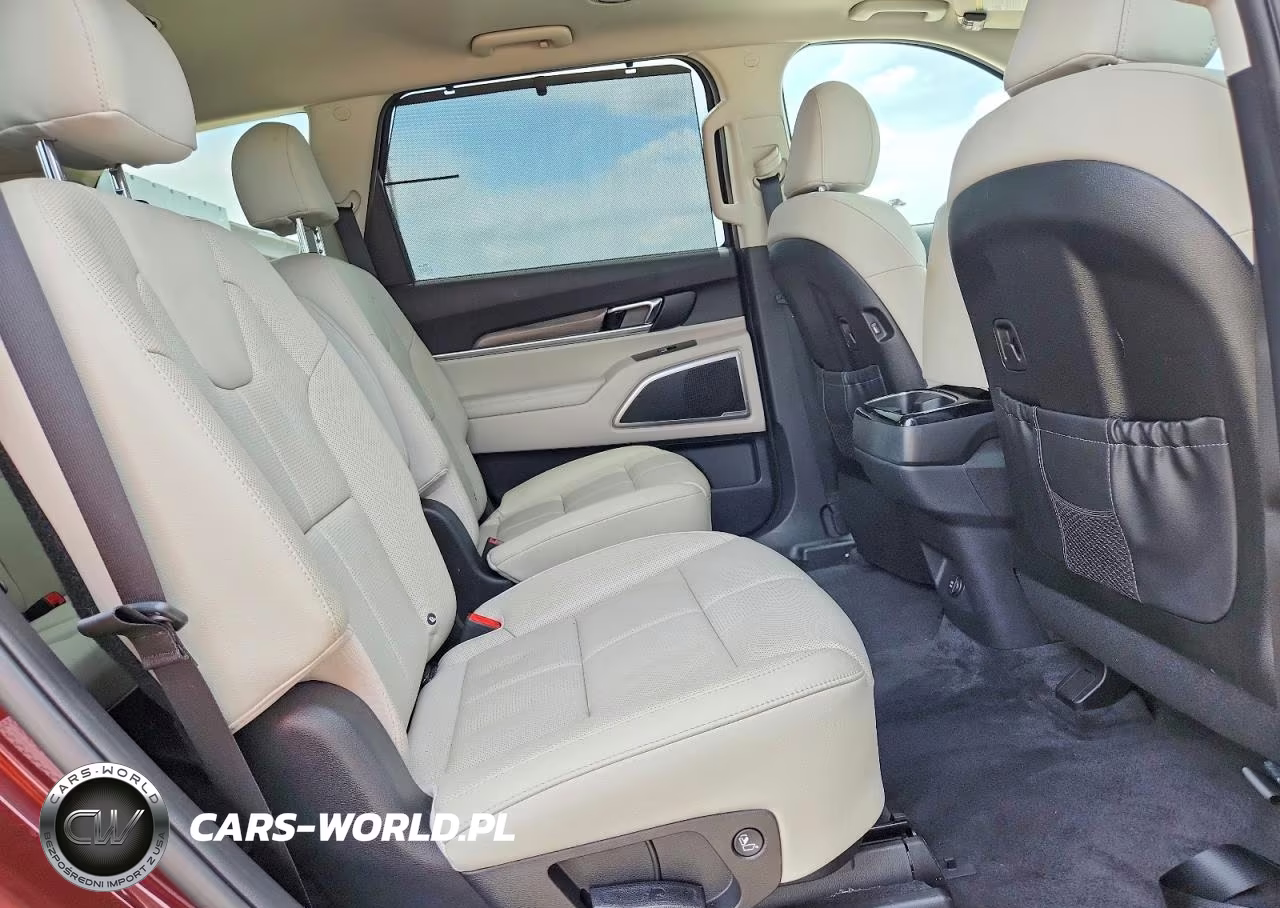 2020 Kia Telluride Ex VIN:5XYP3DHC7LG056060 - 11
