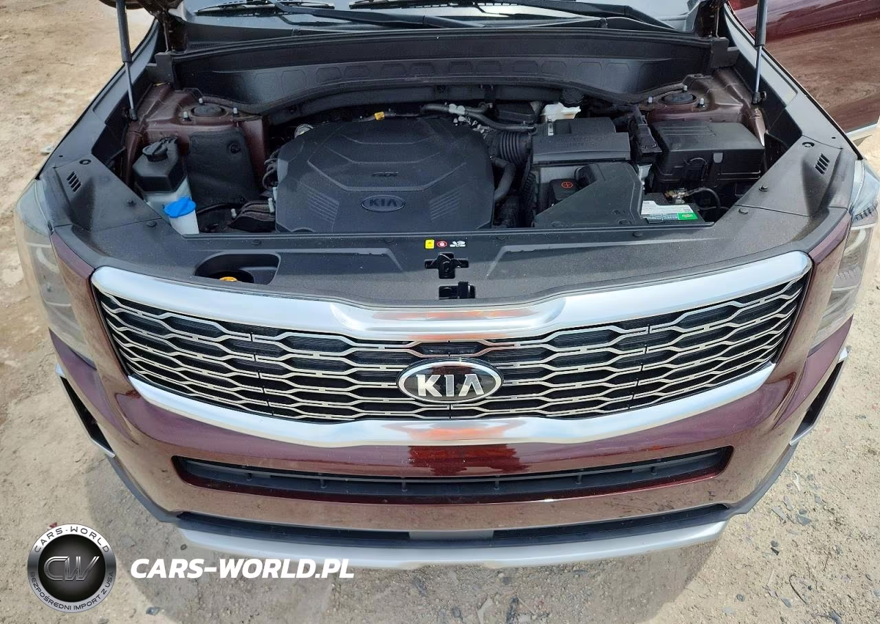 2020 Kia Telluride Ex VIN:5XYP3DHC7LG056060 - 12
