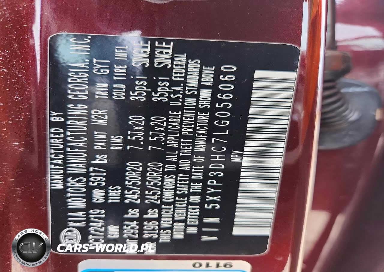 2020 Kia Telluride Ex VIN:5XYP3DHC7LG056060 - 13