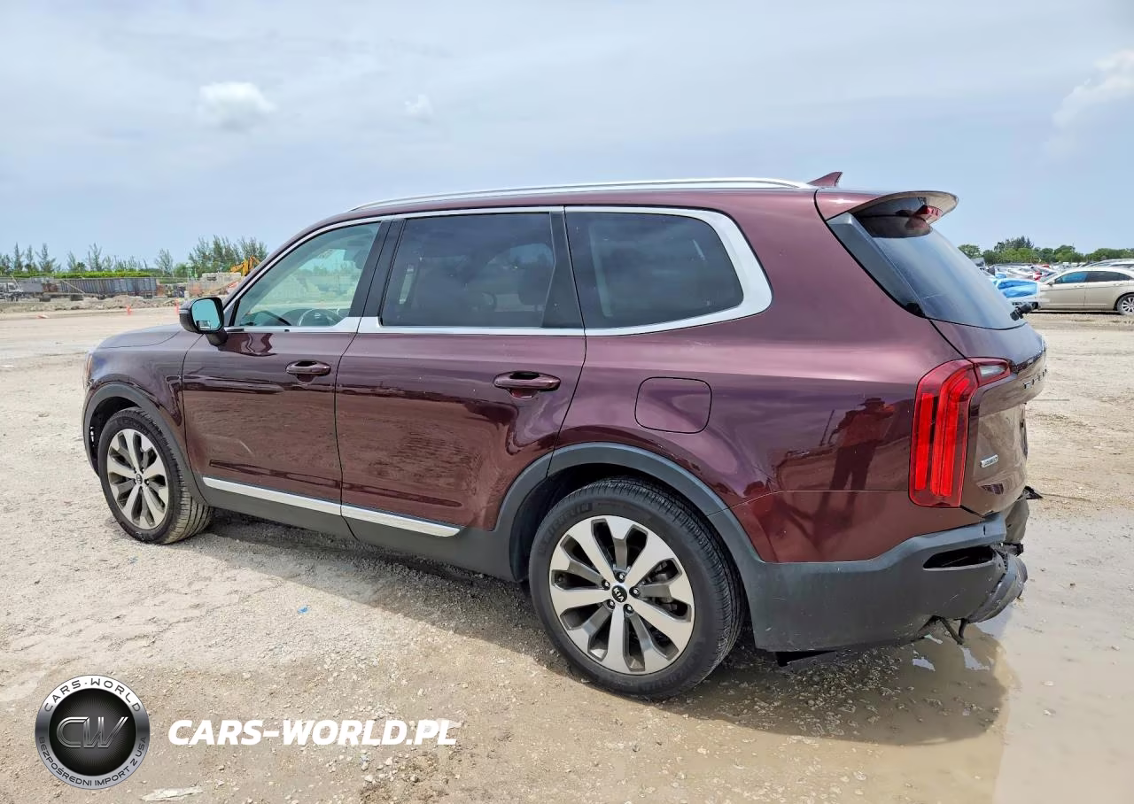 2020 Kia Telluride Ex VIN:5XYP3DHC7LG056060 - 2
