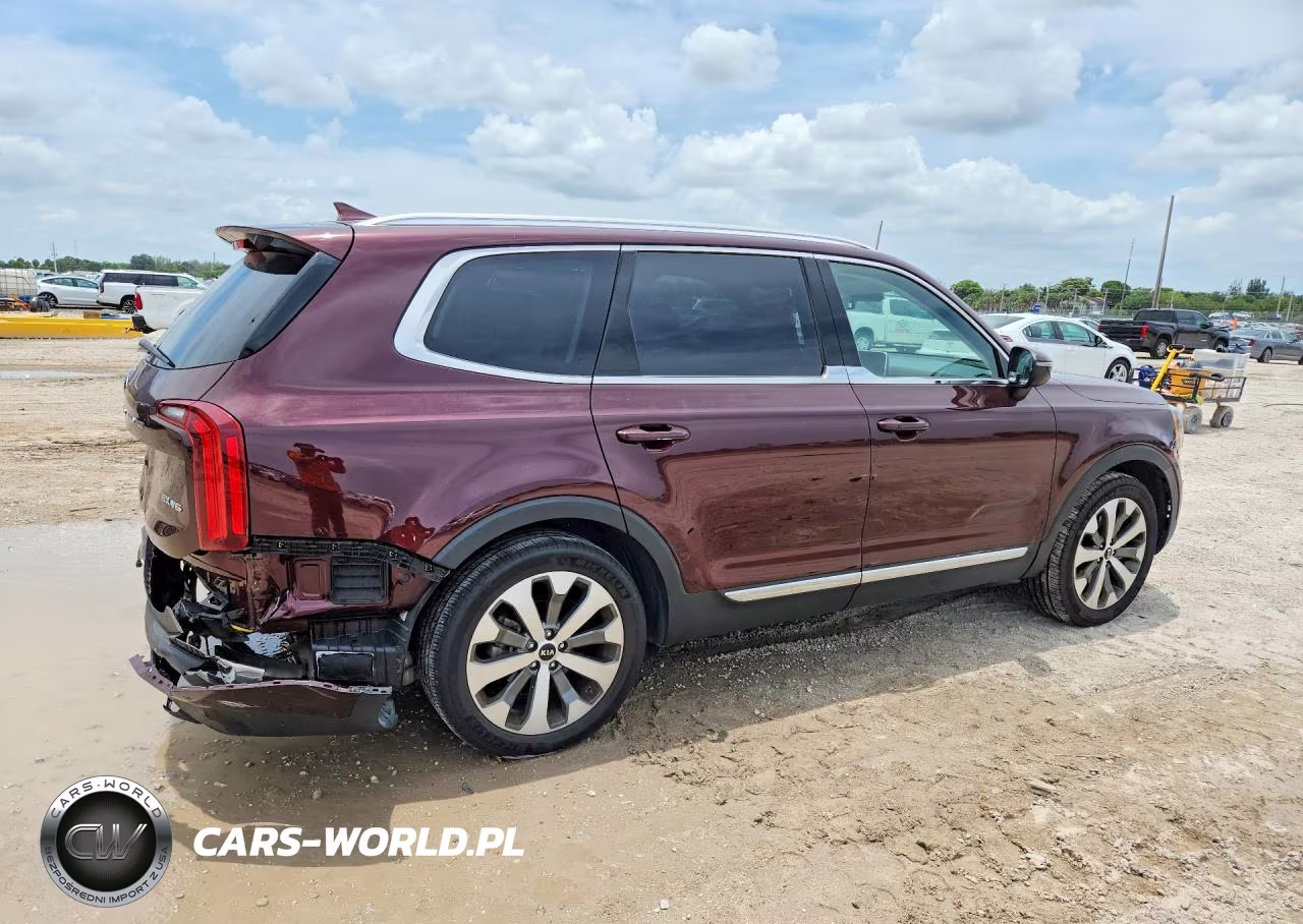 2020 Kia Telluride Ex VIN:5XYP3DHC7LG056060 - 3