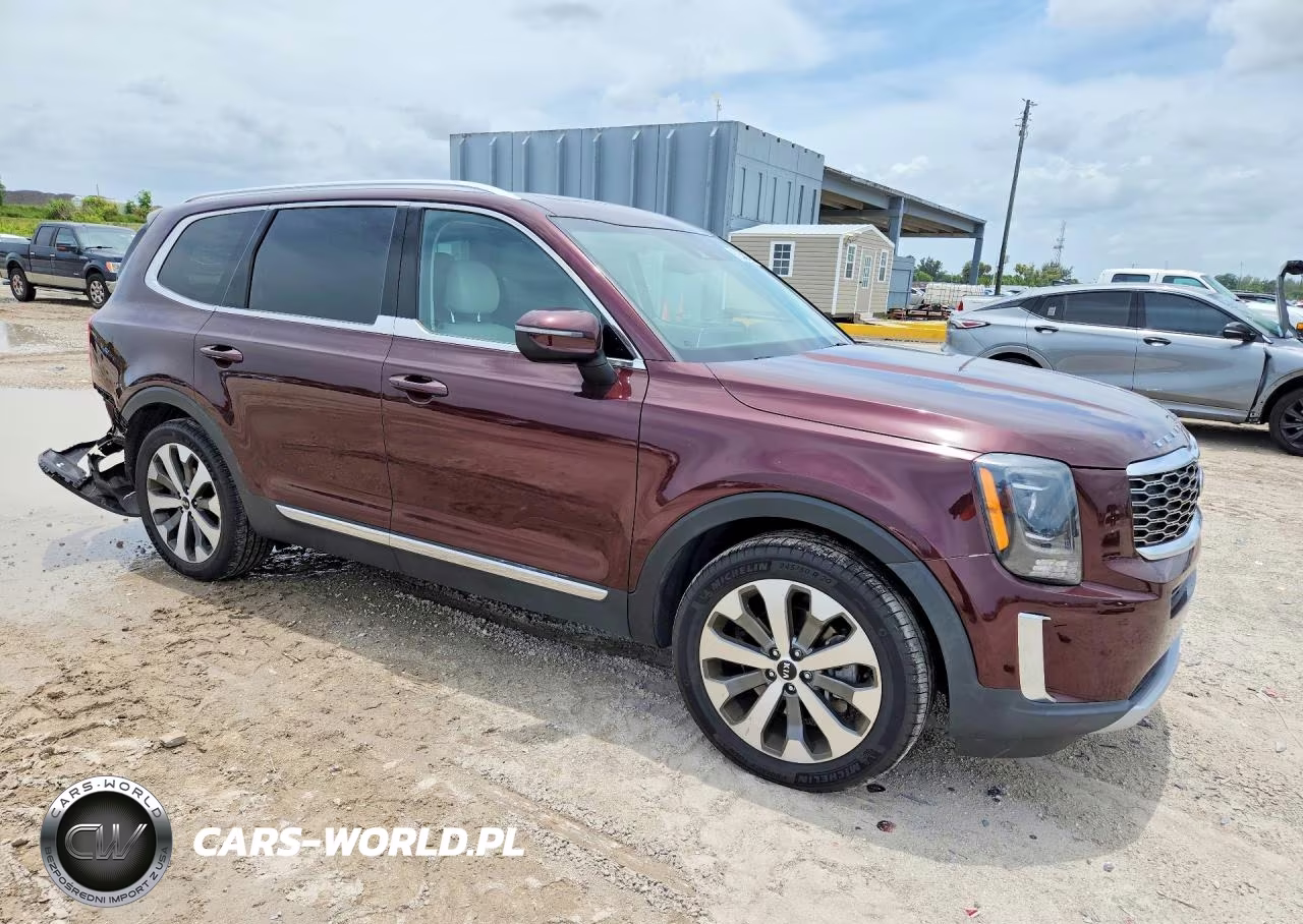 2020 Kia Telluride Ex VIN:5XYP3DHC7LG056060 - 4
