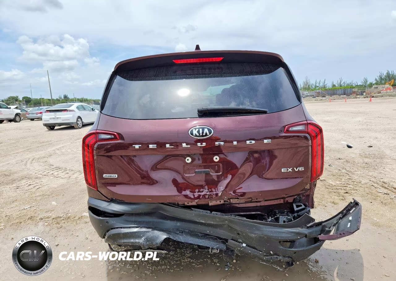 2020 Kia Telluride Ex VIN:5XYP3DHC7LG056060 - 6