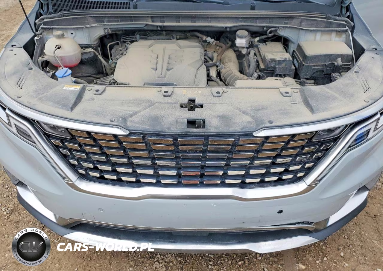 2024 Kia Carnival Sx Prestige VIN:KNDNE5H39R6332144 - 12