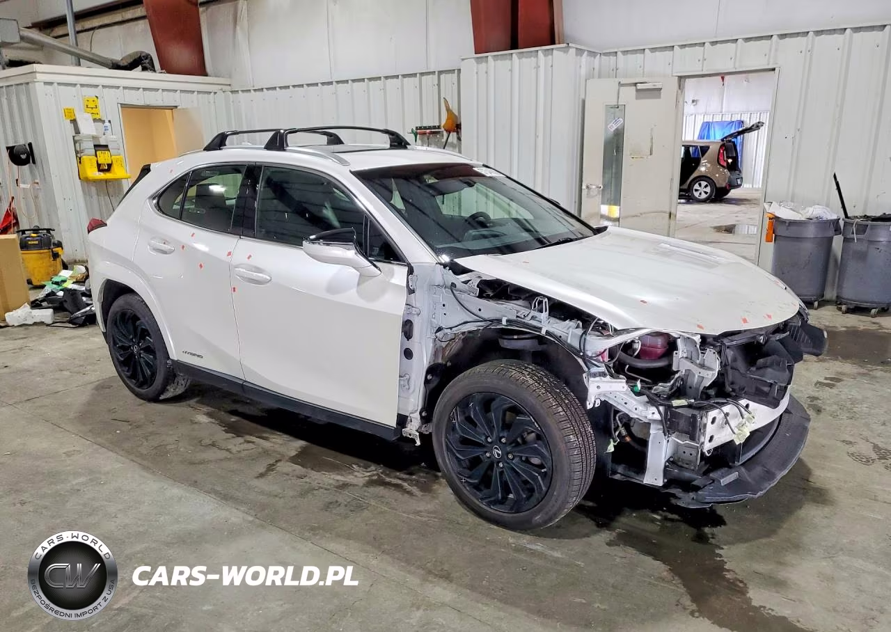 2022 Lexus Ux 250H Base VIN:JTHP9JBH4N2062444 - 4